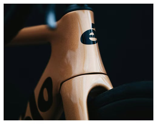 Bicicleta de carretera Cervélo Soloist Shimano Ultegra Di2 12S 700 mm Polvo de oro 2024